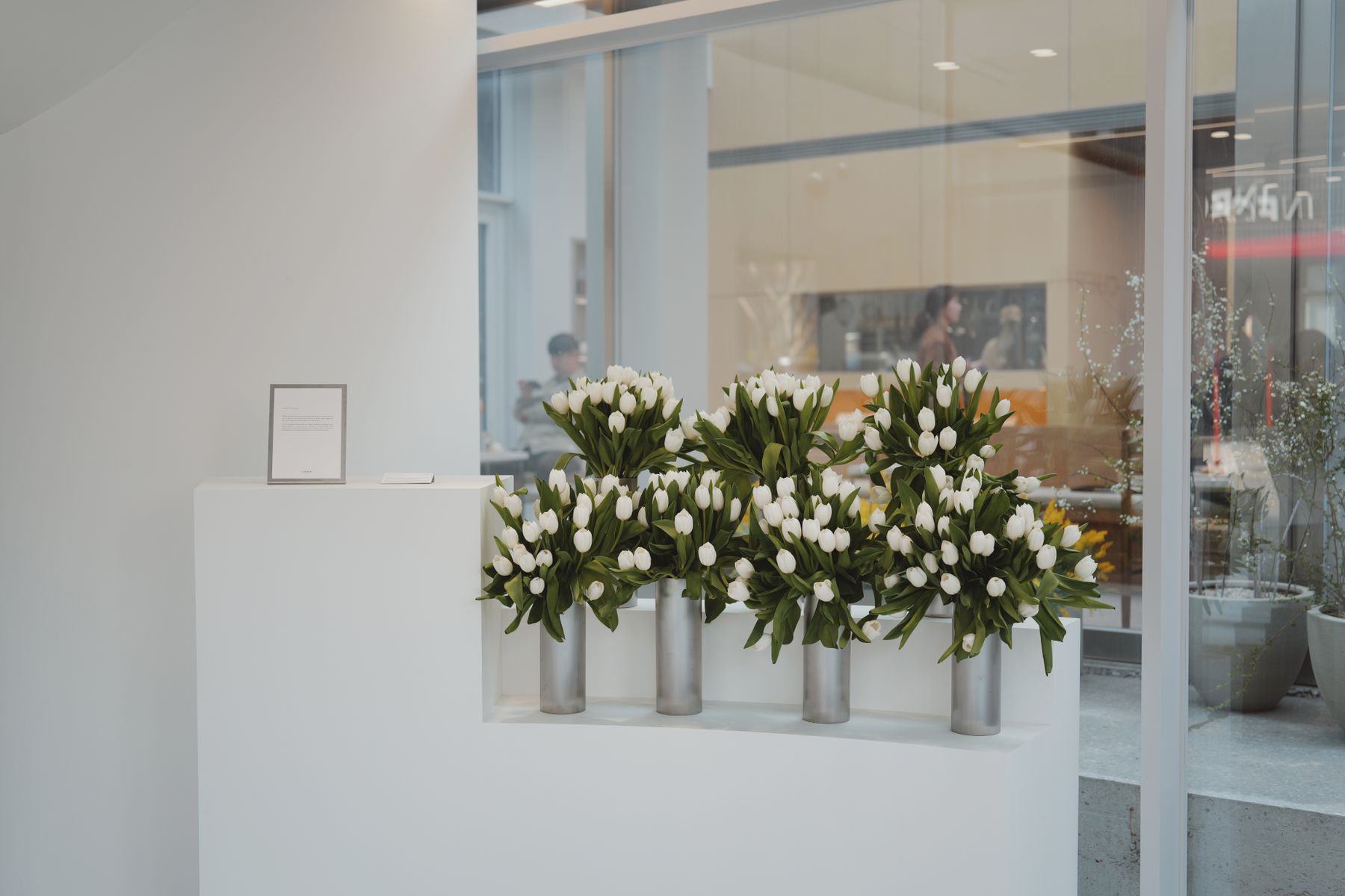 Tulipani bianchi nella vetrina dell'atelier