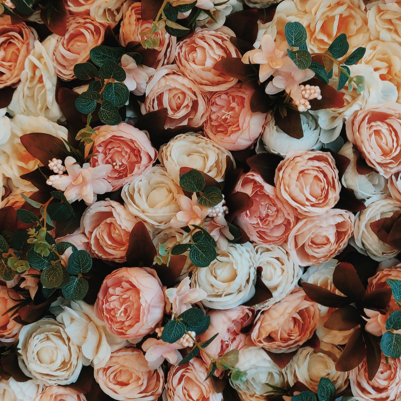 Rose N°05