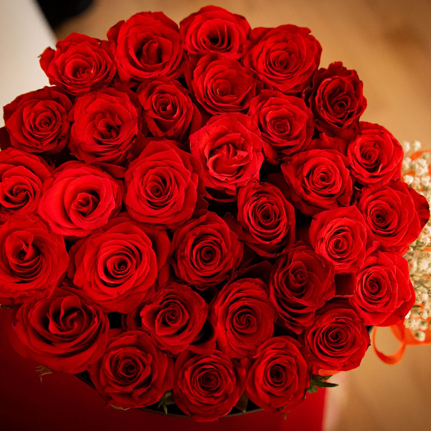 Rose Collection